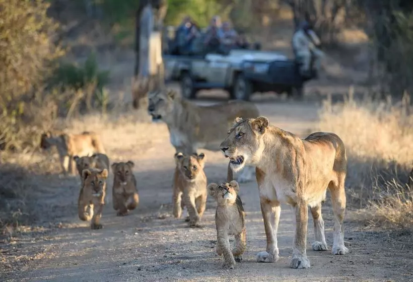Hotelli Kapama Private Game Reserve - Kapama Southern Camp