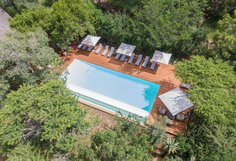 酒店 Kapama Private Game Reserve - Kapama Southern Camp