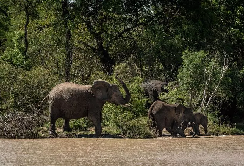 Hotelli Kapama Private Game Reserve - Kapama Southern Camp