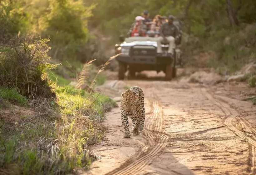 Hotelli Kapama Private Game Reserve - Kapama Southern Camp