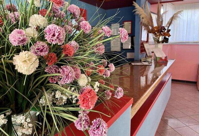 فندق Residence Stella Maris