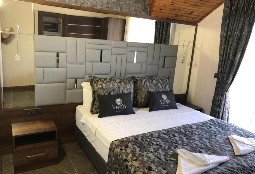 בית מלון כפרי Venus