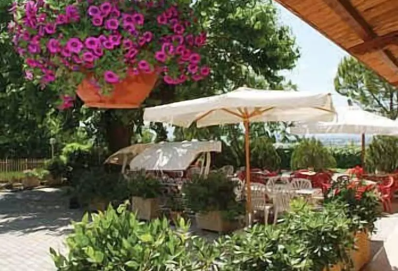 בית מלון כפרי Viole Country