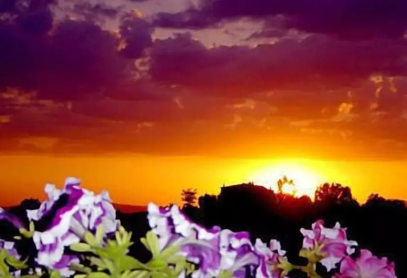 בית מלון כפרי Viole Country