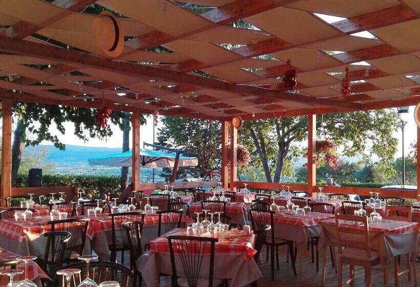 酒店 Viole Country