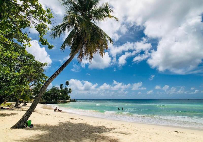 هتل Blue Haven Holiday Apartments