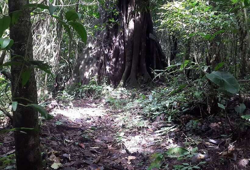 酒店 Villas Cipreses   Hostel