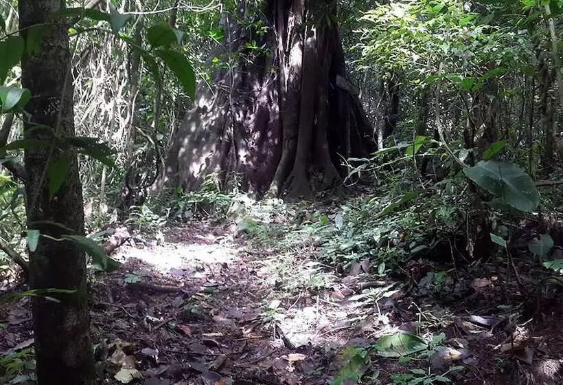 Hotelli Villas Cipreses   Hostel