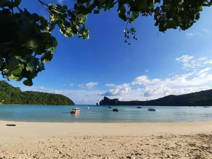 Pensió Dalum Beachhouse