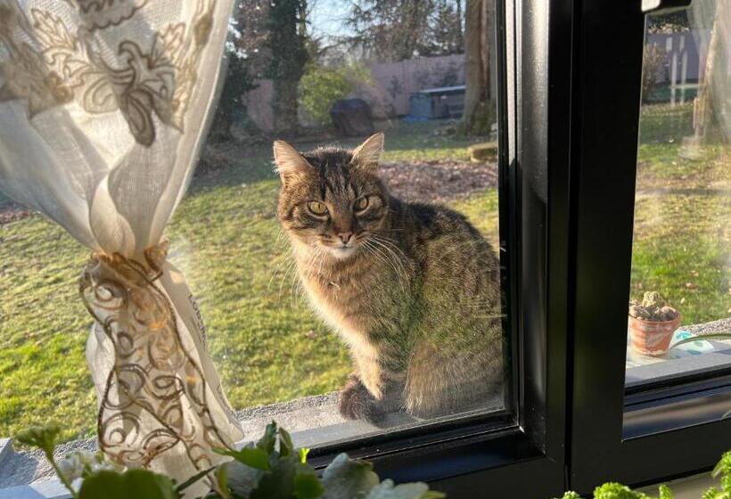 Bed and Breakfast Château Ségot