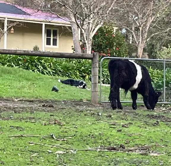 Fleetwood Cottage Bed And Breakfast