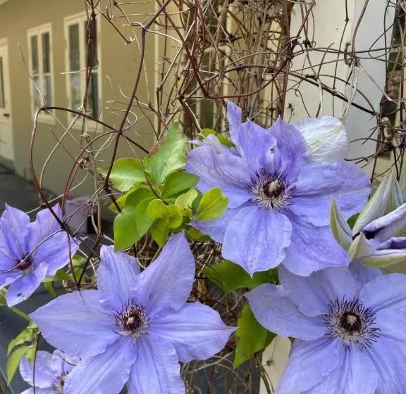 Fleetwood Cottage Bed And Breakfast