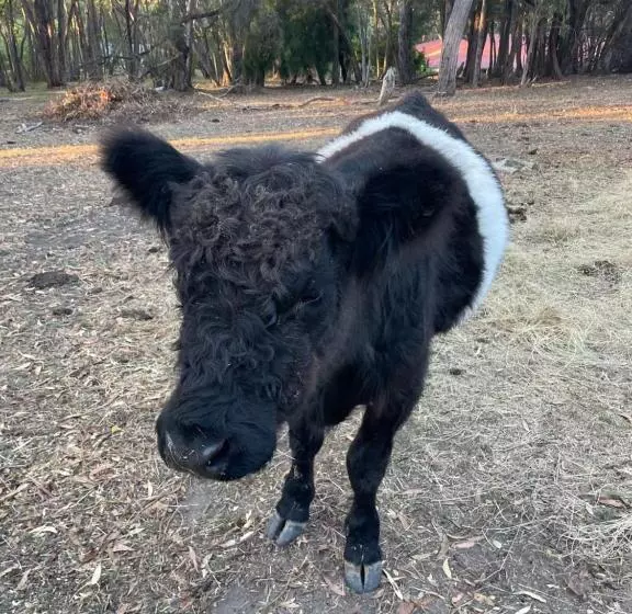 Fleetwood Cottage Bed And Breakfast