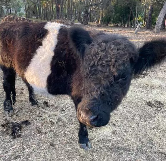 Fleetwood Cottage Bed And Breakfast