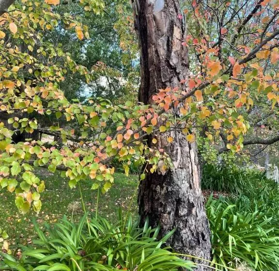 Fleetwood Cottage Bed And Breakfast