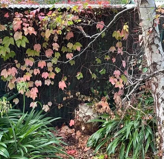 Fleetwood Cottage Bed And Breakfast