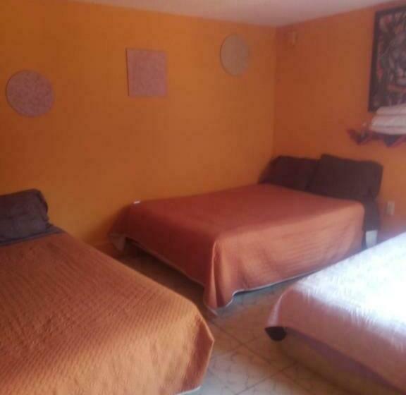 Пансион Alo México