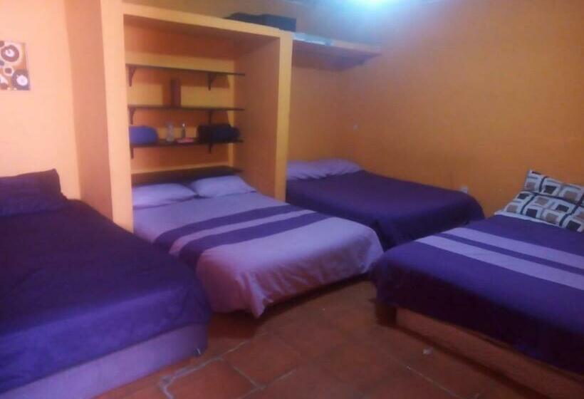 Пансион Alo México