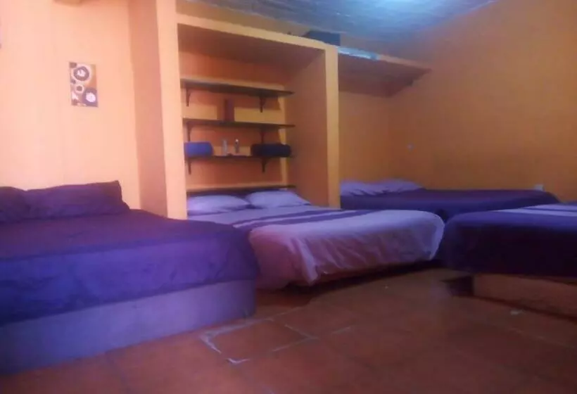 Majatalo Alo México