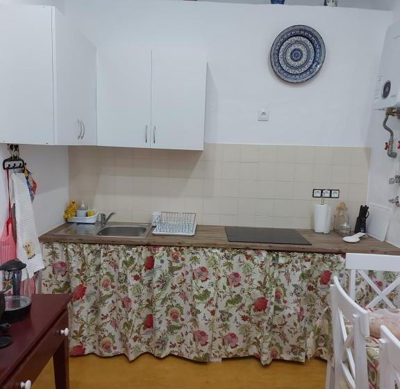 פנסיון Casa Do Páteo