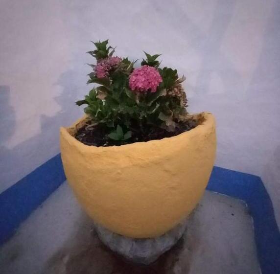 פנסיון Casa Do Páteo