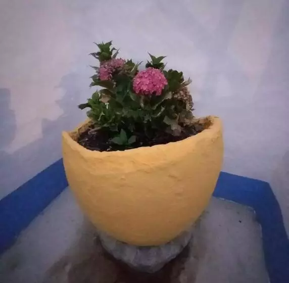 ペンション Casa Do Páteo