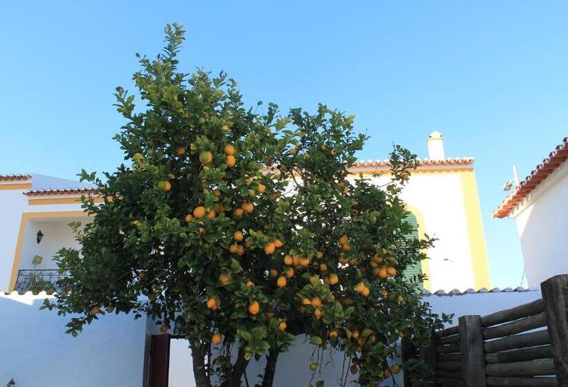 פנסיון Casa Do Páteo