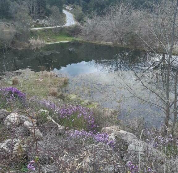 펜션 Quinta Da àgua