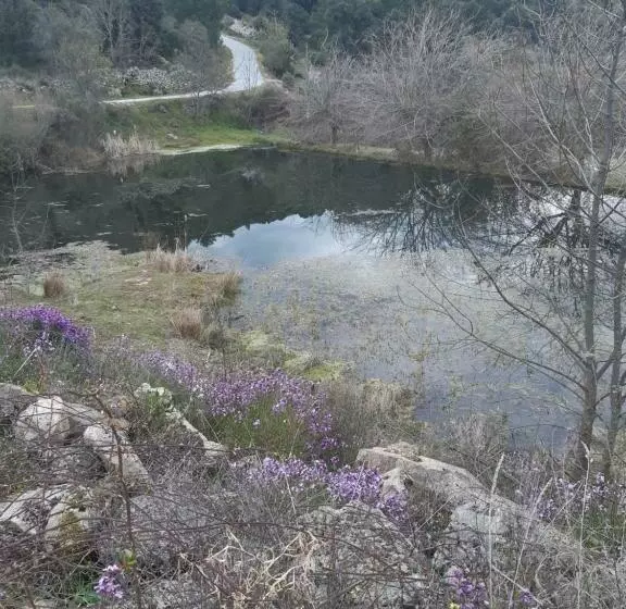 ペンション Quinta Da àgua