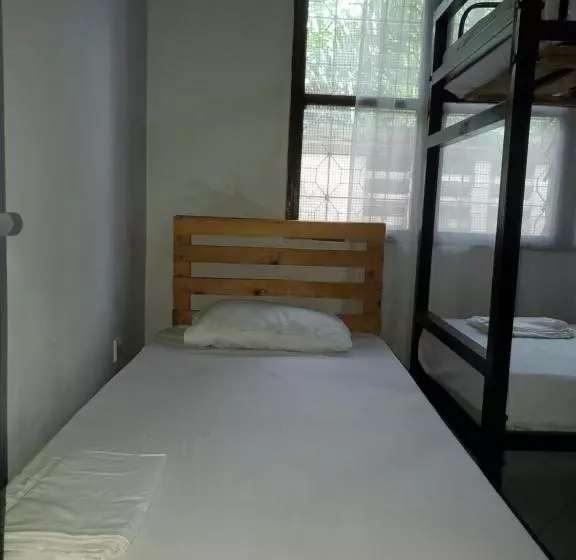 The Nest Haven Hostel
