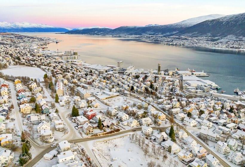 Auroras Friends Apartment   Hostel