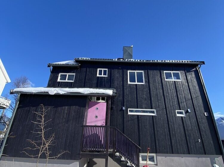 Auroras Friends Apartment   Hostel