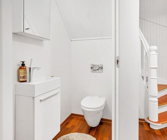 Auroras Friends Apartment   Hostel