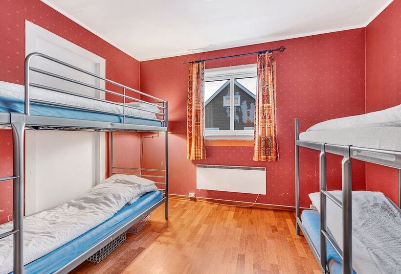 Auroras Friends Apartment   Hostel