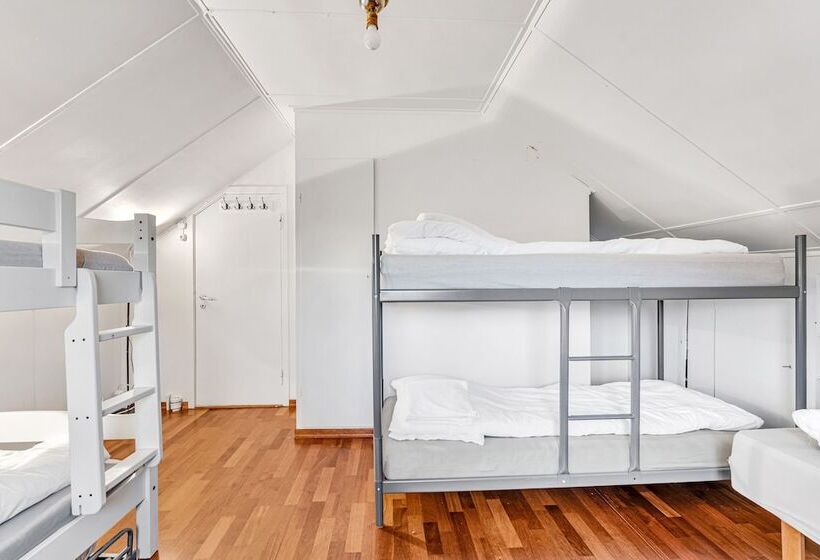 Auroras Friends Apartment   Hostel