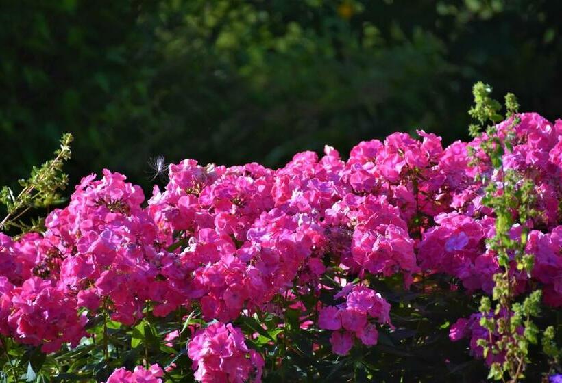 הוסטל Ubytování Pod Jilmem