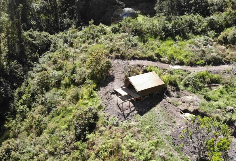 مبيت وإفطار Cúspide