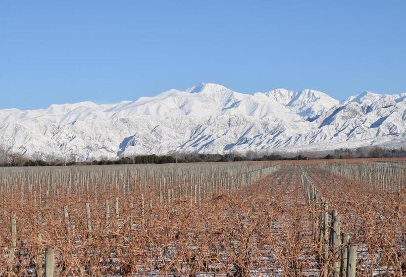 Bed & Breakfast Villa Mendotza