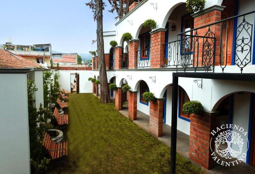 호텔 Hacienda Valentino