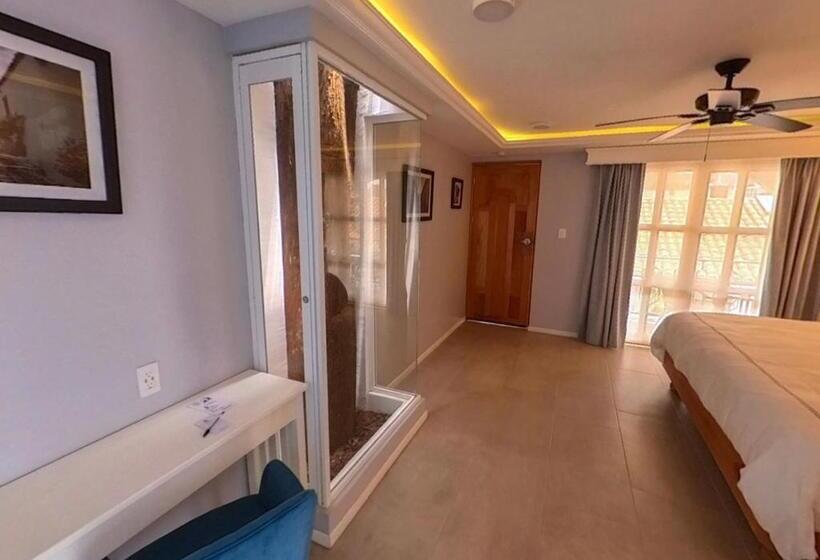 호텔 Hacienda Valentino