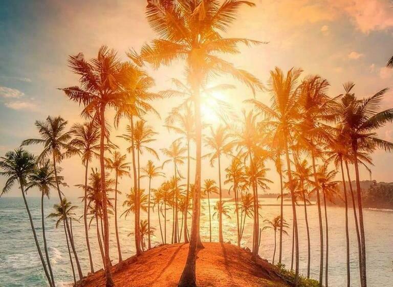 펜션 Coco Mount Mirissa