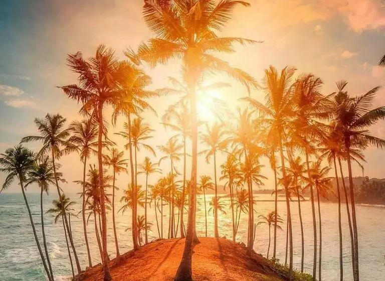 Pension Coco Mount Mirissa