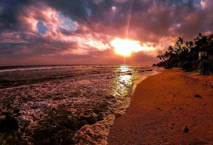 Pension Coco Mount Mirissa