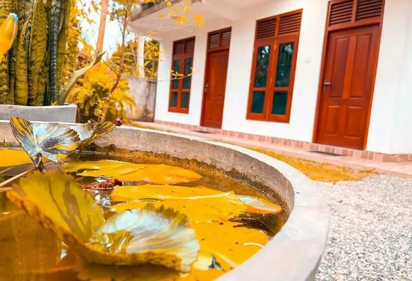 Pension Coco Mount Mirissa