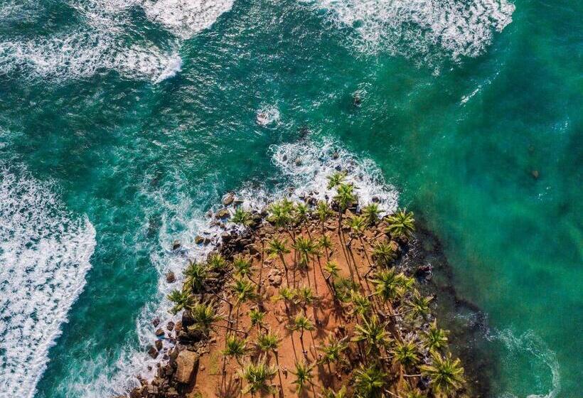 펜션 Coco Mount Mirissa