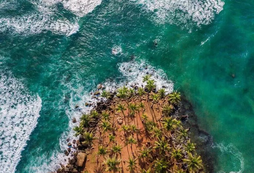 Pension Coco Mount Mirissa