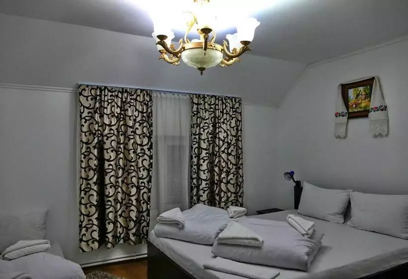 ペンション Floare De Colt