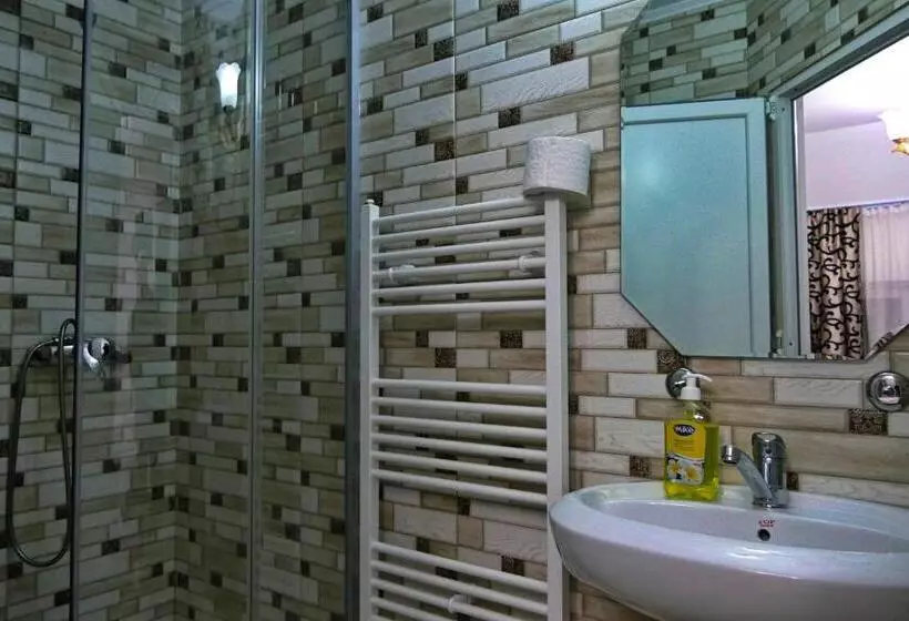 ペンション Floare De Colt