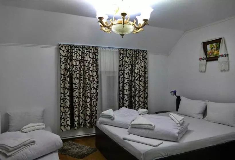 ペンション Floare De Colt