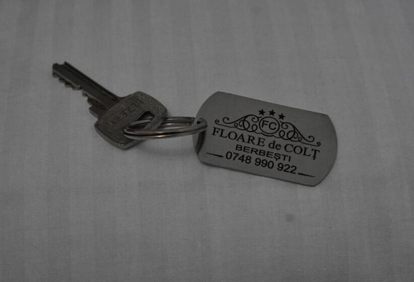 פנסיון Floare De Colt